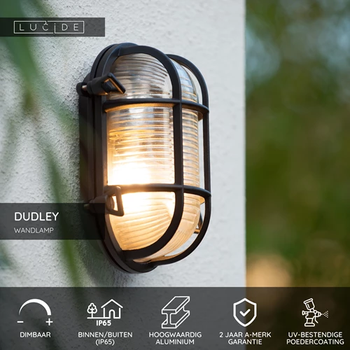 Lucide DUDLEY - Wandlamp Binnen/Buiten - 1xE27 - IP65 - Zwart - USP